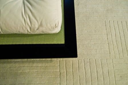 Zen-model